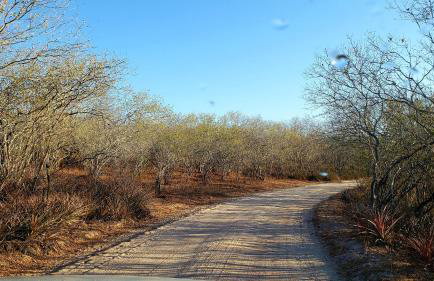 Casa da Estrelinha - Ilha do Ferro - Foto 31