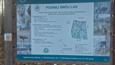 Zawilcowa Dolina - Foto 2