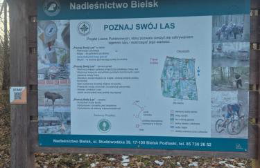 Zawilcowa Dolina - Foto 2