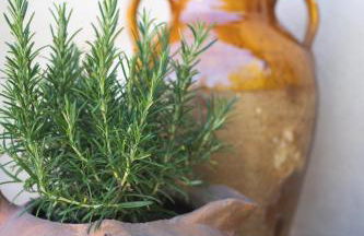 Casale Amati Country House - Photo 38