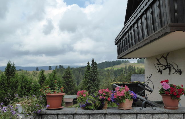 Landhaus Fischer - Foto 50