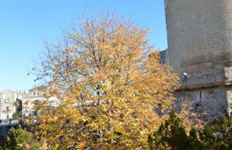 Dimora Sole Raggiante - Foto 32