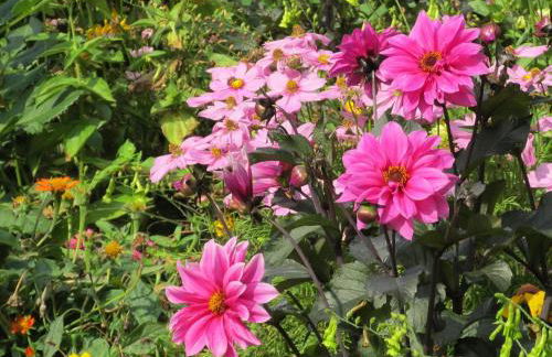 Bauernhaus nahe Langlingen Badesee - Foto 33