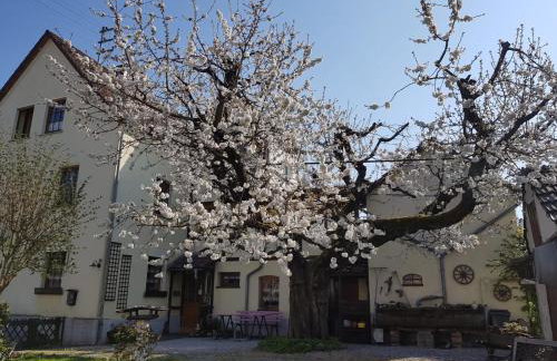 Ferienwohnung Zum-alten-Kirschbaum - Foto 9