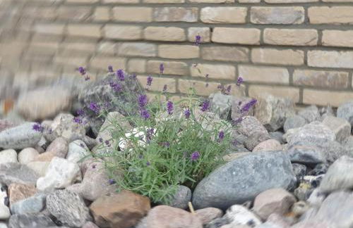 Ferienhaus Schütt - Foto 24