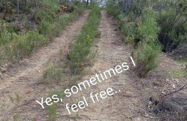 Casinha das Estrelas - Foto 17