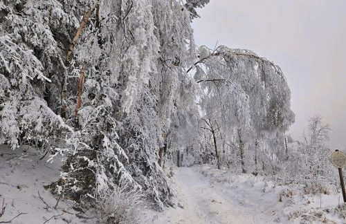Marthas Stübchen - Foto 33