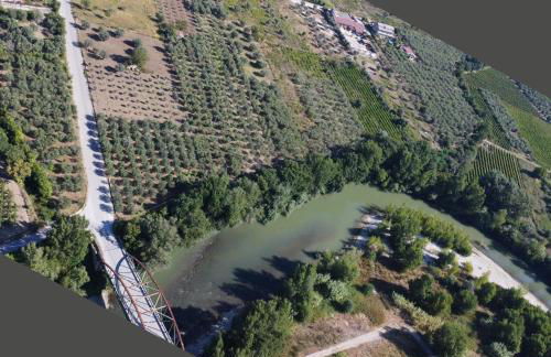 palazzo RICCARDI - Foto 68