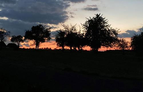 Ferienwohnung Helbing - Foto 18