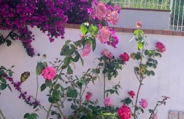 Villa bella Diamante - Foto 16