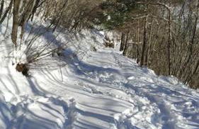 Villa Villi - Foto 37