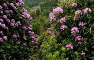 Moonfleat - Photo 20