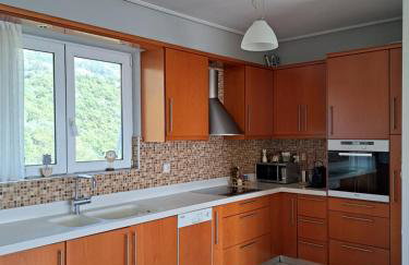 Up on the hill - Foto 24