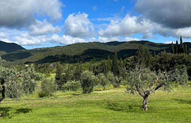 Farmhouse in Suvereto Near Etruscan Coast - Foto 32