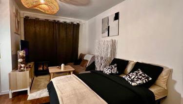 "MoonLighT" Gare à 10min de PARIS, WIFI, TERRASSE , PARKING - Foto 2