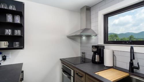 Cherry Street Loft (B) Pet-Friendly & In the Heart of Downtown Black Mtn! - Foto 3