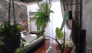 Plebiscito Suite Apartment - Photo 4