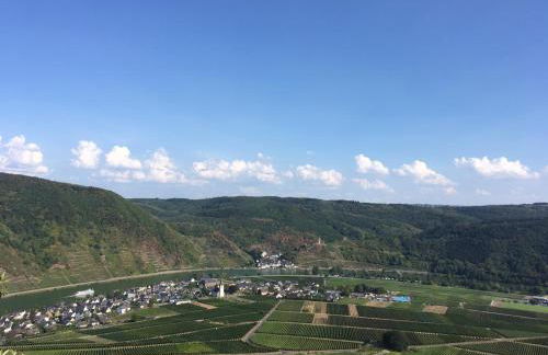 Ferienwohnungen Fuhrmann-Burg - Foto 61