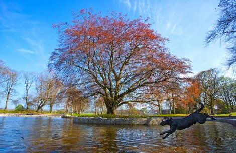 Aberdeen Quiet City Apartment, Ferryhill - Foto 22