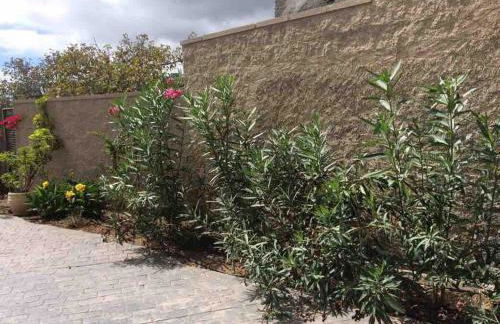 Acogedora Casa de Madera con piscina - Foto 11