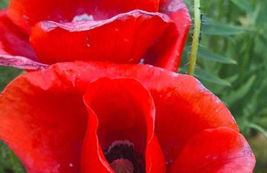 Cuda Wianki - Foto 29