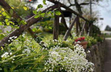 San Gemini Fiori - Foto 20