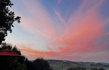 OakTree Villa - Quinta da BellaVista - Foto 44