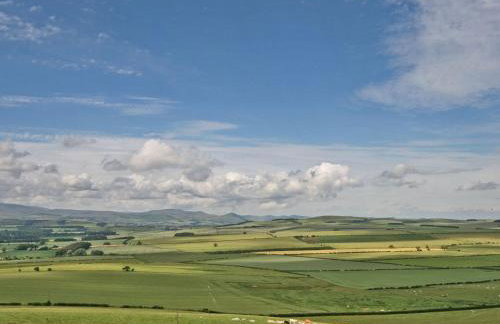 New Bakery - Foto 13