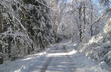 Leśna Muzyka Apartment Limanowa - Photo 45