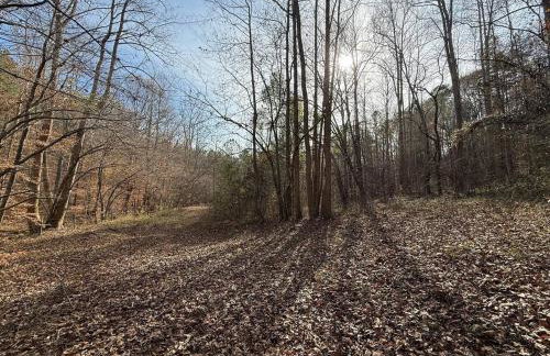 Waterfalls Canyon 41.5 Acres W Miles of Trails - Foto 4