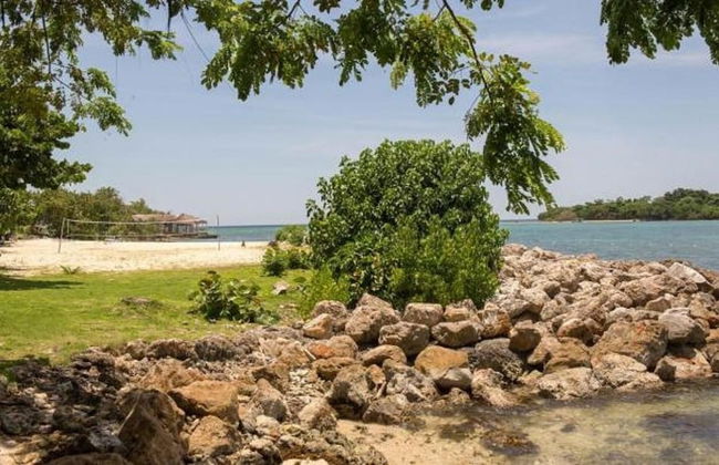 Point Village Studios and Suites - Photo 49