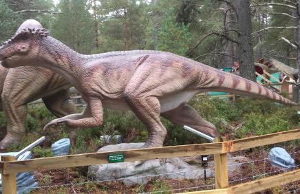 Coylumbridge Cottage - Foto 57