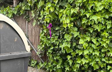 Tomillaron House - Foto 36