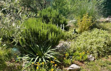 Villa Ana with jacuzzi & swimming pool - Foto 10