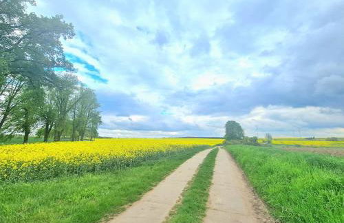 Urlaubsidylle in der Uckermark - Foto 21