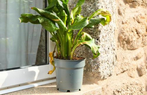 Casinha Das Portas - Foto 12