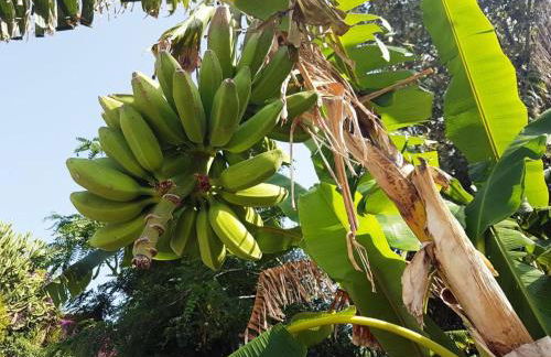 Villa del Sogno - Foto 14