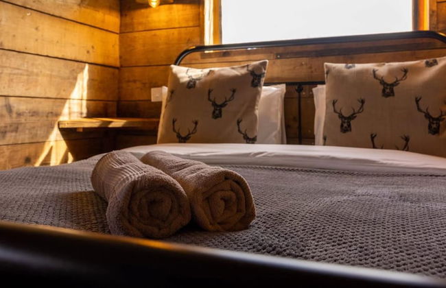 Luxury Safari Lodge Surrounded by Deer!! 'roe' - Foto 7