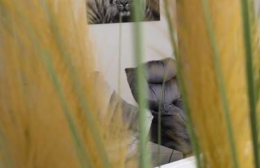 Große helle Wohnung nähe Audi und Lidl IT - Foto 5