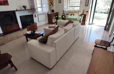 Le Vigne di Clementina Fabi - Foto 53