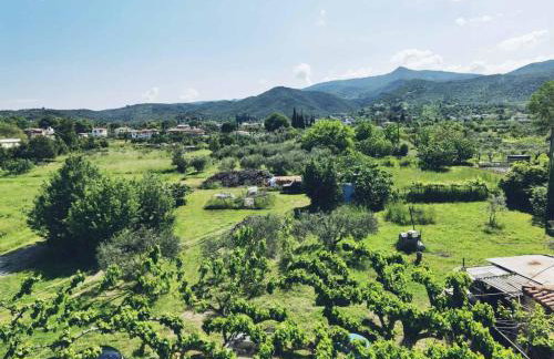 Giorgos concept suites AGAPI - Foto 6