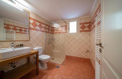 Ελαιών apartments/Eleon apartments - Foto 78