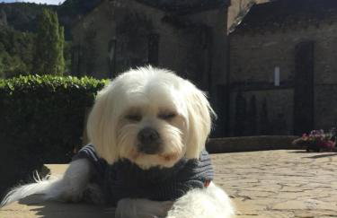 apartamentos turisticos san juan de la peña - Foto 36