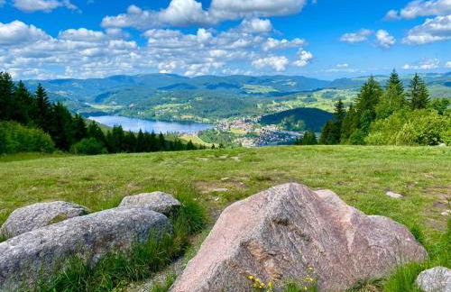 Gästehaus Steiert Fewo Kuhbergblick - Photo 33