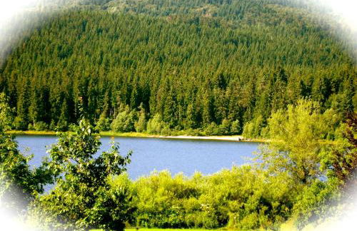 Ferienwohnung Endlich Ferien - Foto 50