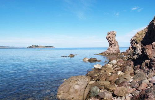 Anastasia's Corner - Photo 46