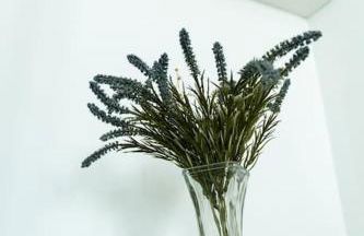 Libertad by Gades Gestión - Foto 8