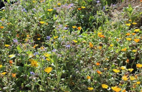 Jäschner Villa Luftig - Foto 21