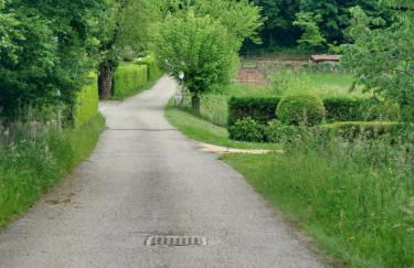 Dolomiti Relax - Foto 20