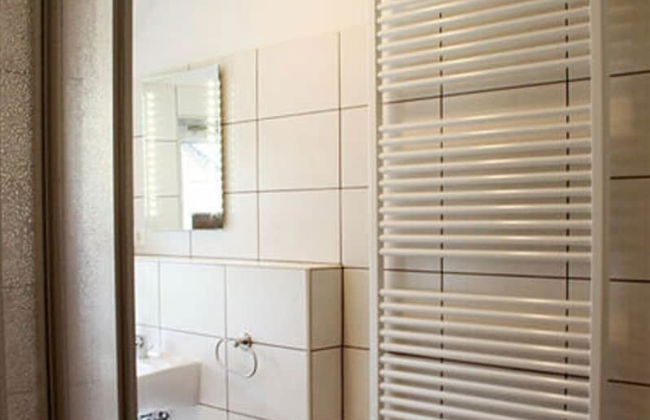 Pear - On the Fruit Tree - Foto 9